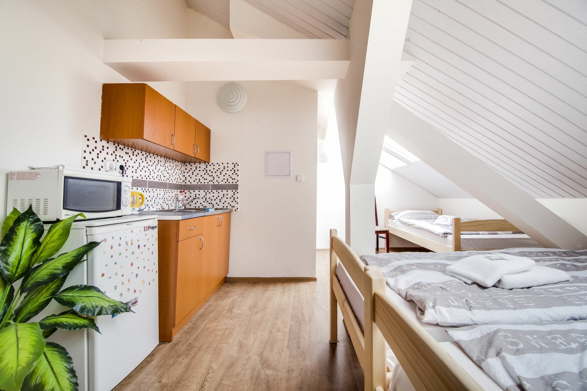 Apartment Zarra